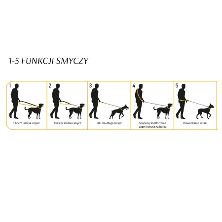 Dingo City Texas Taśmowa Smycz dla Psa Brązowa 3/220cm