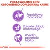 Royal Canin Sterilised Karma Sucha dla Kota 2kg