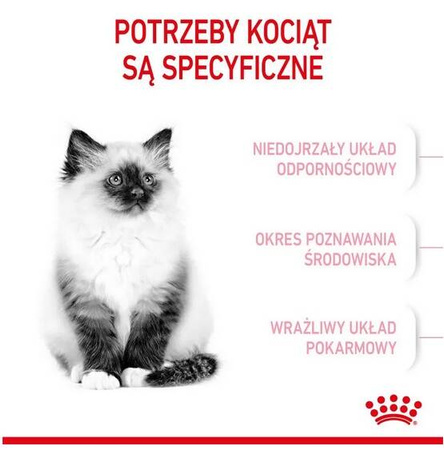 Royal Canin Kitten Karma Sucha Dla Kociąt 4-12 2kg