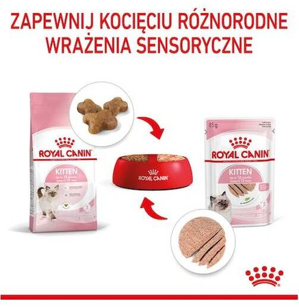 Royal Canin Kitten Karma Mokra Dla Kociąt Pasztet 85g