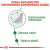 Royal Canin Ageing 12+ Karma Mokra Dla Psa Małego 85g