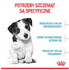 Royal Canin Mini Puppy Karma dla Szczeniąt 2-10 msc 2kg