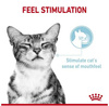 Royal Canin Sensory Feel Karma Mokra Dla Kota w Sosie 85g
