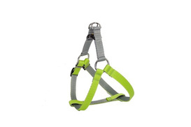 Dingo Szelki Energy 2,5/85cm Zielone