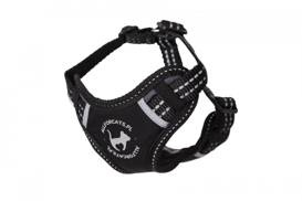 All For Cats Szelki Sportowe XS Czarne