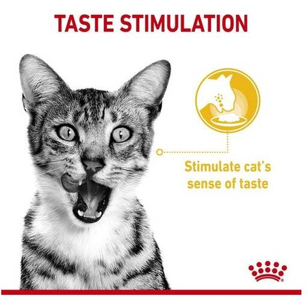 Royal Canin Sensory Taste Karma Mokra Dla Kota w Sosie 85g
