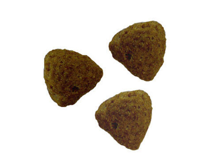 Gilpa Kennel Sucha Karma Dla Psa Kurczak 15kg