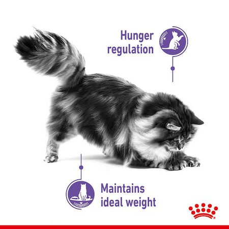 Royal Canin Appetite Control Care Karma Dla Kota Sos 85g