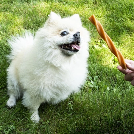Garden Bites Zestaw Gryzaków Dla Psów Ras Małych