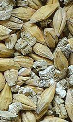 Super Benek Trawka szybkorosnąca dla kota 150g