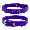 WAUDOG Glamour Skórzana Obroża Dla Psa Fiolet QR M