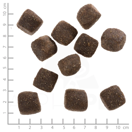 Wolfsblut Dog Squashies Grey Peak Przysmak Dla Psa 300g