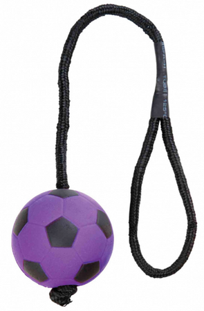 Trixie Zabawka Dla Psa Piłka Na Sznurku 6cm