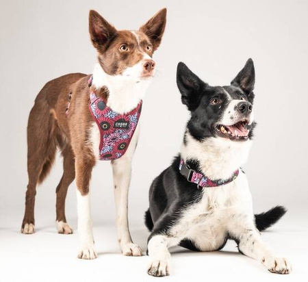 Chaba Obroża Dla Psa Regulowana Story III S Lakota