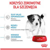 Royal Canin Mini Puppy Karma dla Szczeniąt 8kg