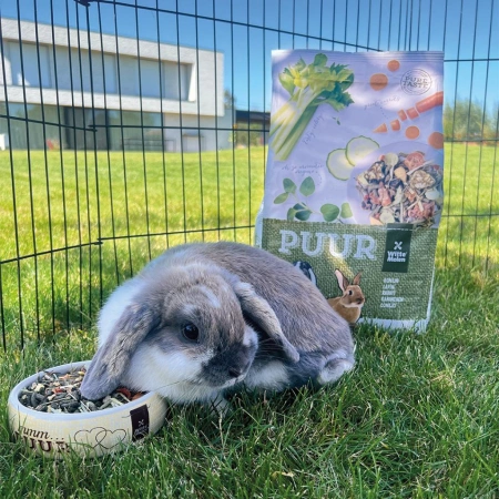 Witte Molen Puur Karma Dla Królika Karłowatego 600g