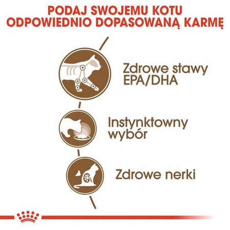 Royal Canin Ageing +12 Karma Mokra Dla Kota w Sosie 85g