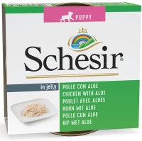 kurczak