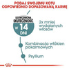 Royal Canin Hairball Care Karma Dla Kota Drób 10kg