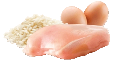 Life Cat Kitten Kurczak Karma dla Kota Juniora 85g