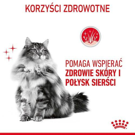 Royal Canin Hair Skin Care Karma dla Kota Galaretka 85g