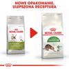 Royal Canin Outdoor Karma Sucha Dla Kota 400g