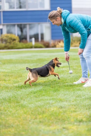 Trixie Piłka Gumowa Dla Psa Na Sznurku 30cm