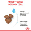 Royal Canin Mini Starter Mother Babydog Karma dla Szczeniąt 1kg