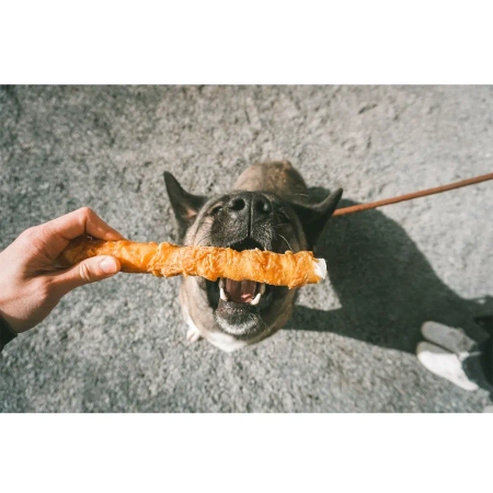 Duvo+ Patyk Wołowy z Kurczakiem dla Psa 25cm 2szt. 122g