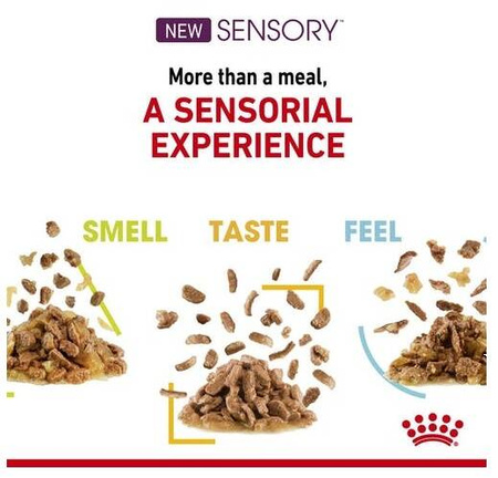 Royal Canin Sensory Taste Karma Mokra Dla Kota w Sosie 85g