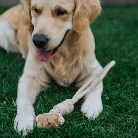 Dingo Gryzak dla Psa z Drewna Kawowego 39cm