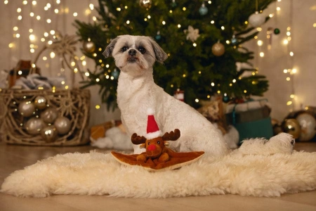 Beeztees Zabawka dla Psa Renifer Szeleszczący 21cm