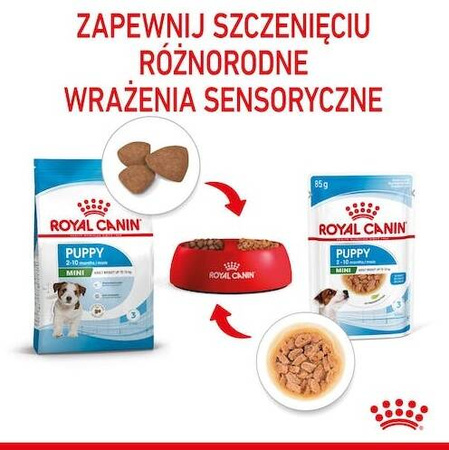 Royal Canin Karma Mokra Dla Szczeniąt Ras Małych 85g