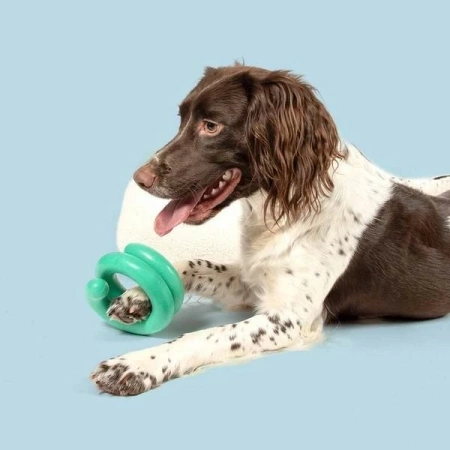 Coockoo Zabawka Dla Psa Gryzak TPR Wiggle Zielony 12cm