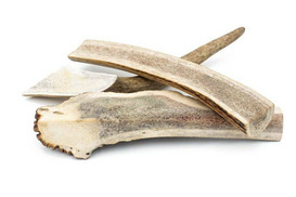 4Dogs Easy Jeleniówki Gryzak Dla Psa Z Poroża XXL 20cm