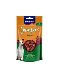 Vitakraft Pies Jumpers Minis Coins 80g Kurczak