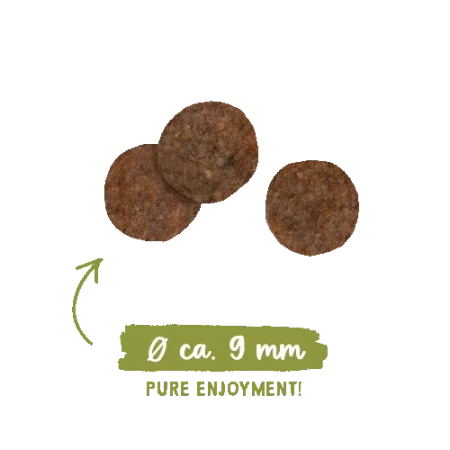 Sanabelle Adult No Grain Huhn Karma dla Kota Kurczak 400g