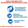 Royal Canin Indoor Long Hair Karma Sucha Dla Kota 400g