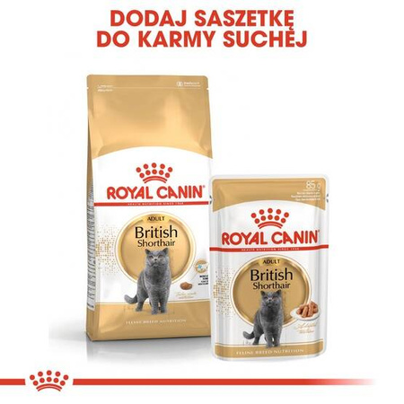 Royal Canin Karma Dla Kota Rasy Brytyjski Krótkowłosy 400g
