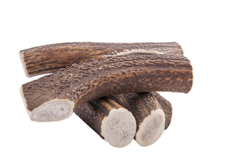 4Dogs Gryzak L (Hard) Z Poroża Jelenia