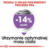 Royal Canin Mini Sterilised Karma Sucha Dla Psa 1kg