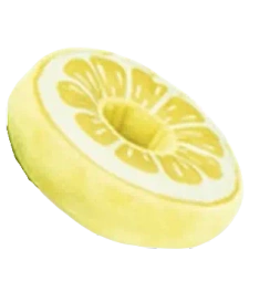 Beeztees Zabawka Pluszowa dla Psa Owocowy Donut