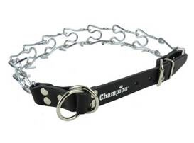 Champion Kolczatka dla Psa 1 Rym 50cm/2,5mm/1,4