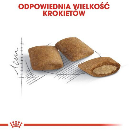 Royal Canin Ageing +12 Karma dla Kota Dojrzałego 400g