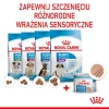 Royal Canin Starter Mother Babydog Mus dla Suk Szczeniąt 195g