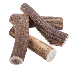 4Dogs Gryzak XL (Hard) Z Poroża Jelenia