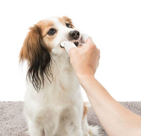 Trixie Dental Nakładki Do Czyszczenia Zębów Psa 50szt