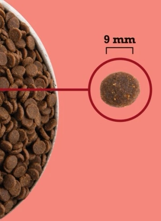 Acana Highest Protein Indoor Karma Dla Kota 1,8kg