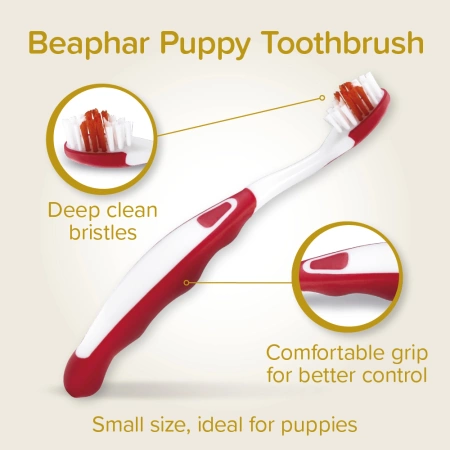 Beaphar Puppy Dental Kit Zestaw Do Zębów Dla Szczeniąt 50g