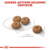 Royal Canin Mini Sterilised Karma Sucha Dla Psa 1kg